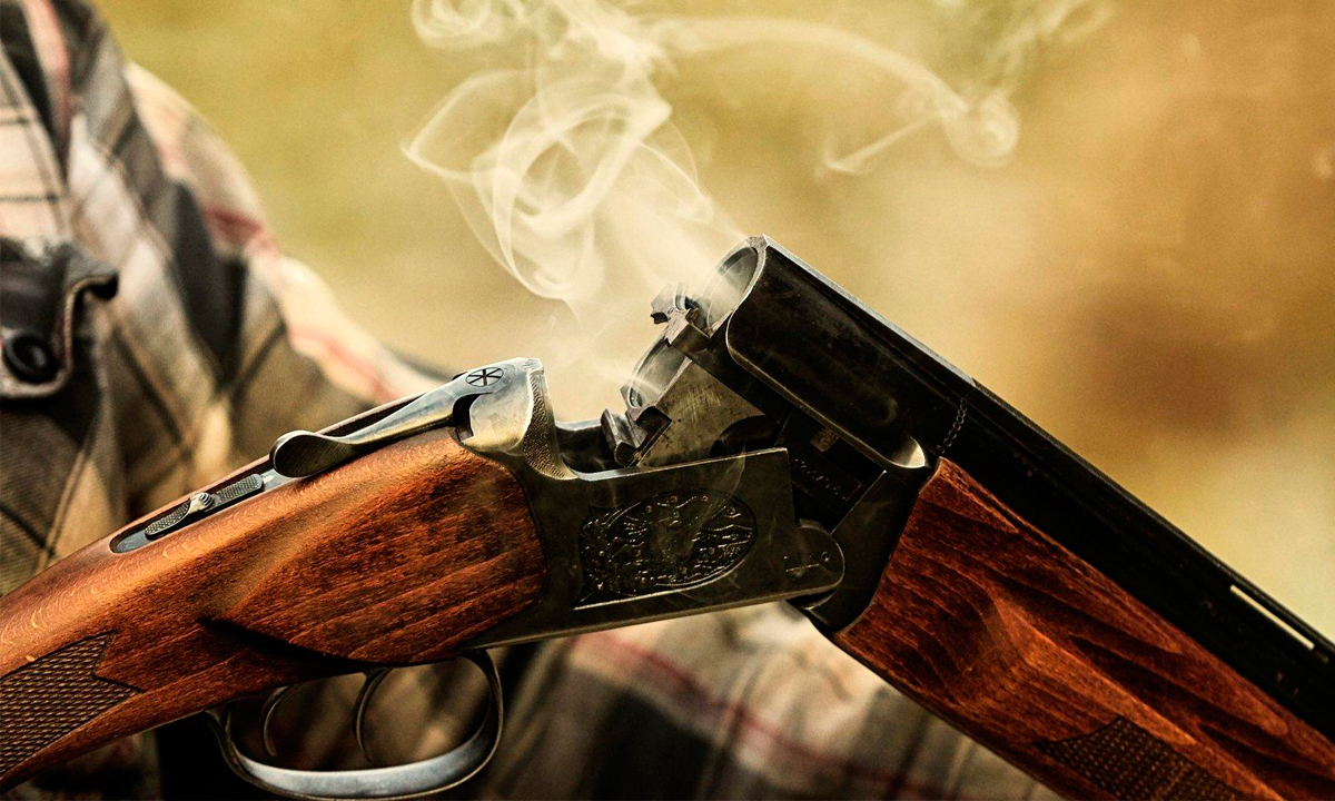 Жителя Правобережного района Братска, застрелившего чужую собаку, оштрафовали 