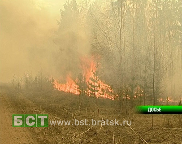 Лесных пожаров в Братском районе из-за дождей стало меньше