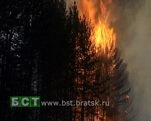 19 лесных пожаров зарегистрировано в Братском районе