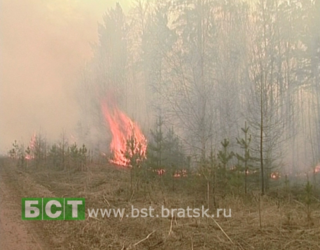Кто будет отвечать за лесные пожары в Братском районе
