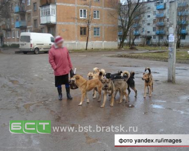Ангарская пенсионерка отсудила у владельца напавших на неё собак 115 тысяч