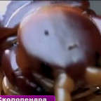 ТОП-5: самые большие насекомые в мире