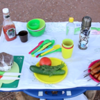 ЗЕЛЁНАЯ УЛИЦА: на пикник