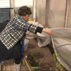 Наталья Сабадаш