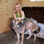 ХВОСТИКИ: Зара