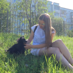 ХВОСТИКИ: собаки и жара