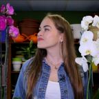 ЗЕЛЁНАЯ УЛИЦА: орхидея