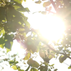 ЗДРАВствуйте! Поговорим про витамин D