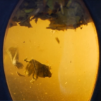 ЗЕЛЁНАЯ УЛИЦА: зелёный чай