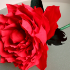 МАСТЕР-КЛАСС: цветок из бумаги