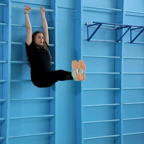 РАЗРЯДКА:  шведская стенка 