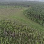 PRO Братск: Заказник "Бойские болота"