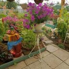 ЗЕЛЁНАЯ УЛИЦА: Цветущий сад 