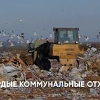 МУСОРА.NET: Одноразовые маски 