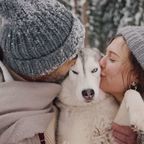 ХВОСТИКИ: Новый год для домашних животных