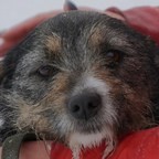 ПРЕДАННЫЕ: Аля