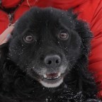 ПРЕДАННЫЕ: Малыш