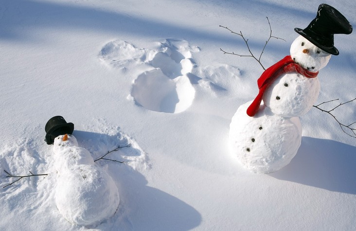 Жителям Братского района предложили слепить снеговика и загадать желание