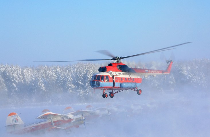 Иркутская область стала лидером по занижению площади лесных пожаров
