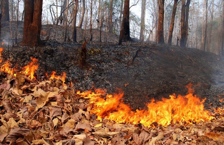 Особый противопожарный режим в Приангарье в этом году начнётся раньше