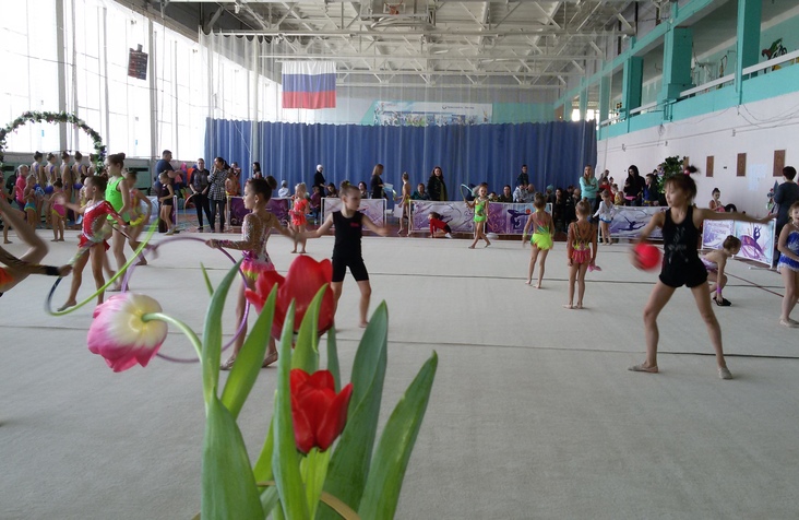 В Братске прошли областные соревнования по художественной гимнастике «Северяночка - 2017»