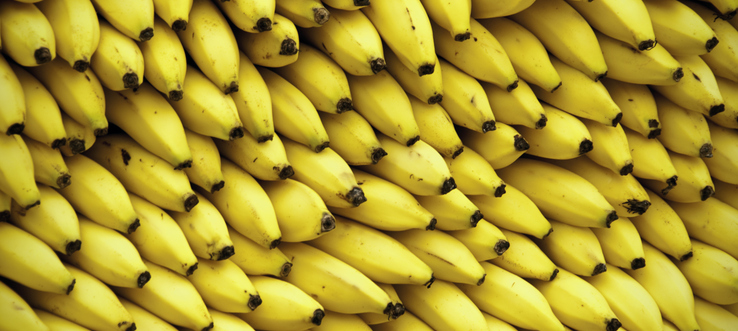 Бананы с кокаином приплыли в Санкт-Петербург из Эквадора
