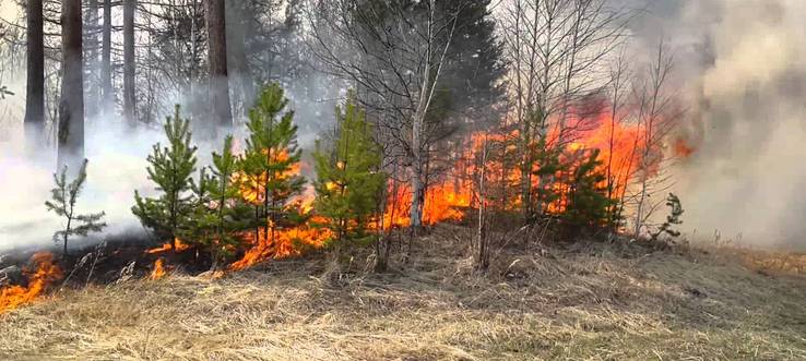 В Братском районе зафиксированы первые лесные пожары