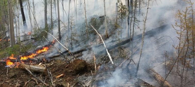 Ситуация с лесными пожарами в регионе остаётся по-прежнему напряжённой