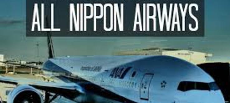 В Братск приедут представители японской авиакомпании All Nippon Airways