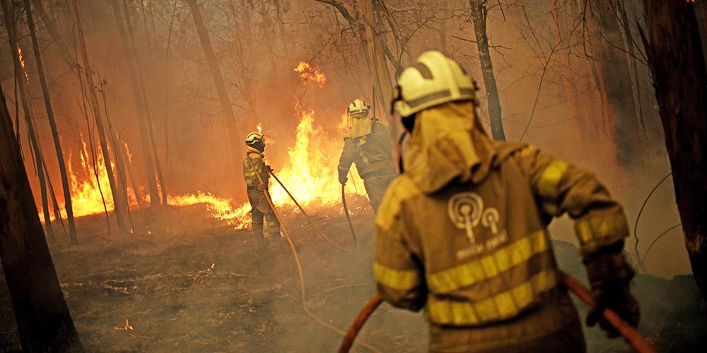 Леса Братского района снова горят