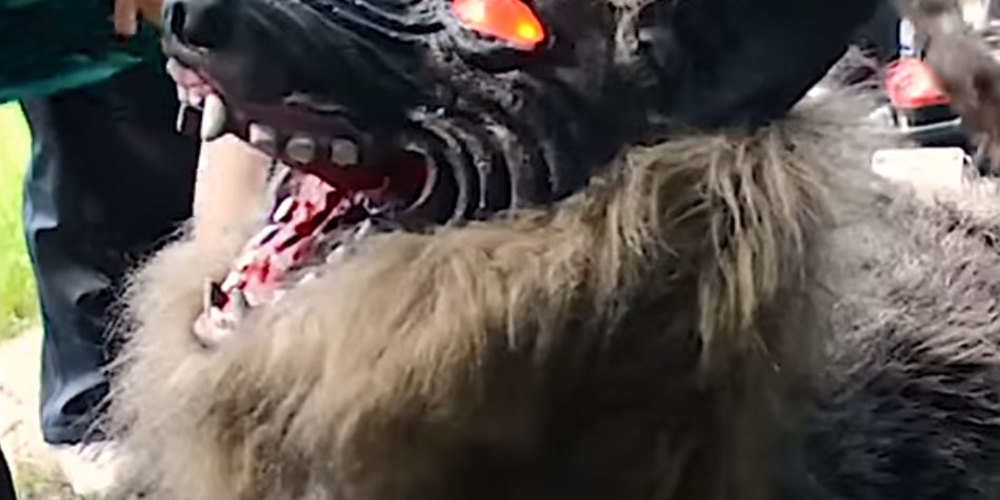 Как из фильма ужасов: японцы создали робота-волка