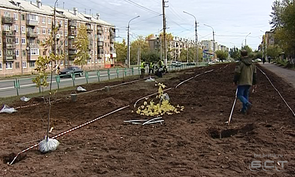 Два миллиона рублей направил РУСАЛ на реконструкцию зелёных насаждений