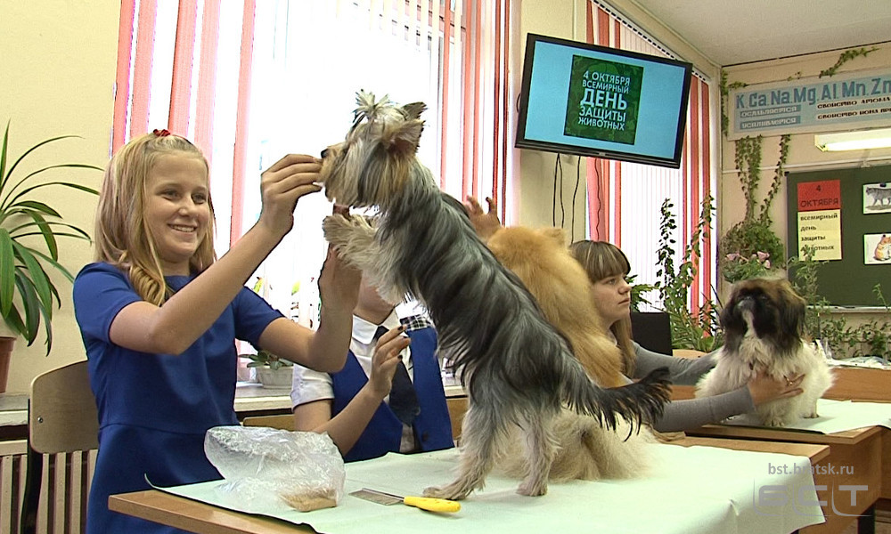 Ученики пятой школы пришли на урок с домашними животными