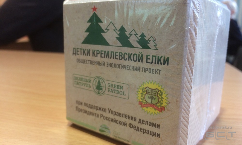 В Кремле родилась ёлочка. В Братск прибыли семена столичной новогодней ели