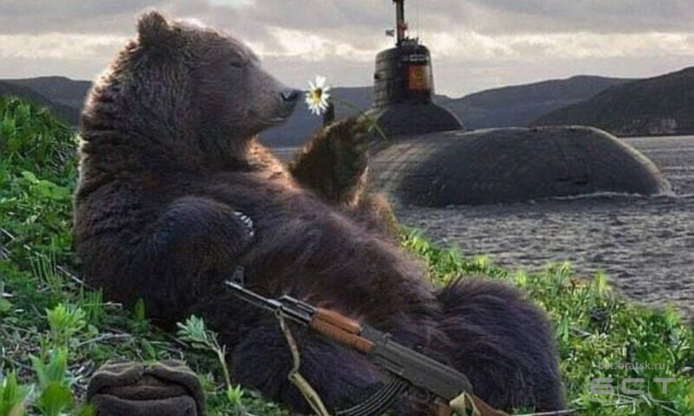 Медведь украл у охотника два ружья в Усть-Илимском районе
