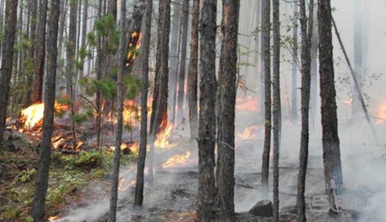 Иркутская область находится на втором месте в России по площади пожаров
