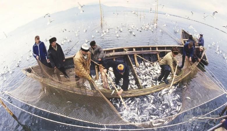 Росрыболовство пополнит рыбные запасы озера Байкал