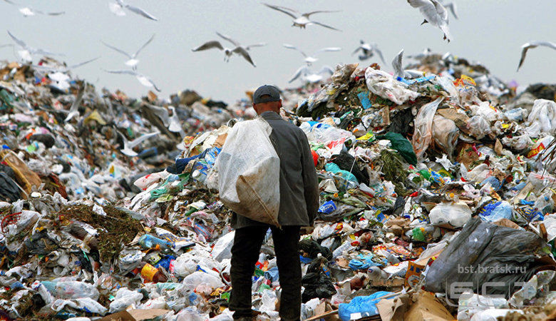 Иркутская область может принять участие в акции против «мусорной реформы»