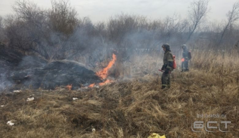 Первые лесные пожары зафиксированы в Иркутской области
