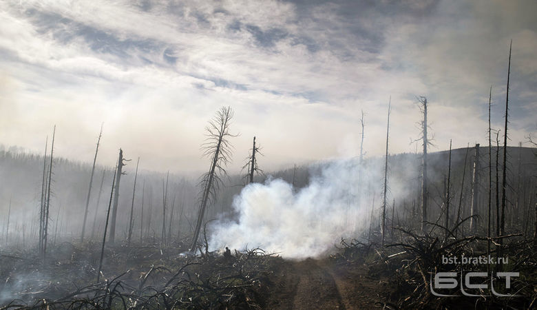 В СФ предложат изменить норму о нецелесообразности тушить лесные пожары