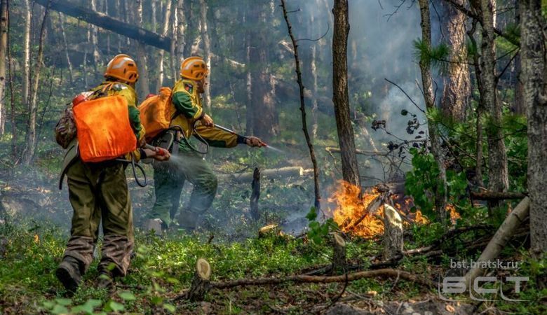 Регионы искажали статистику по лесным пожарам, заявили в Генпрокуратуре