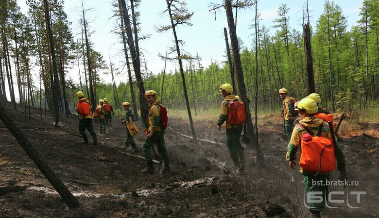 Генпрокуратура выявила случаи намеренных поджогов лесов в Сибири