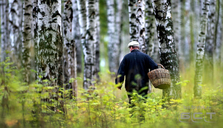 В Иркутской области 2019 год побил рекорды по количеству заблудившихся в лесу людей