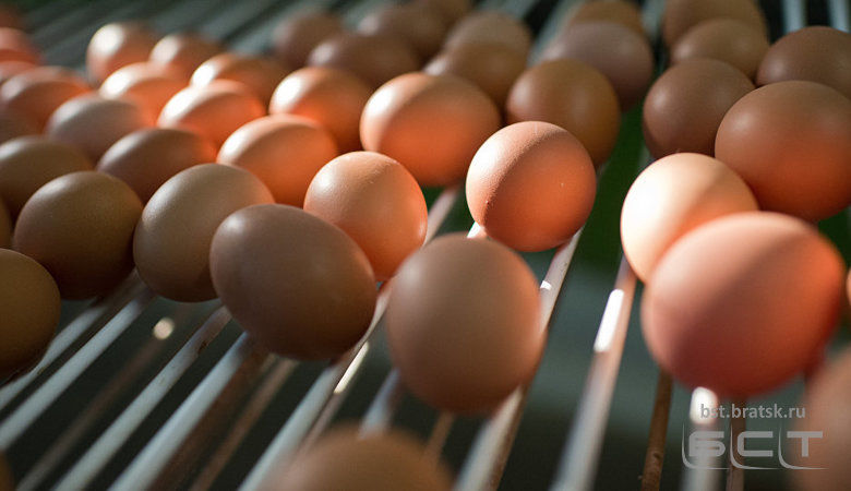 Россияне употребляют слишком много яиц, заявили аналитики