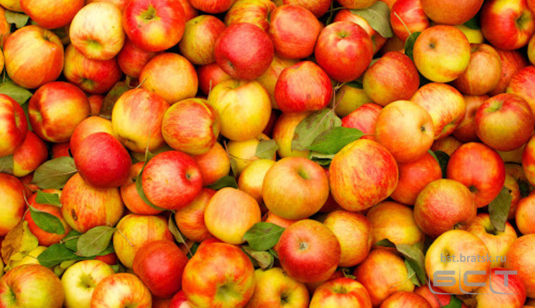 Роспотребнадзор предупредил об опасной диете с использованием яблок