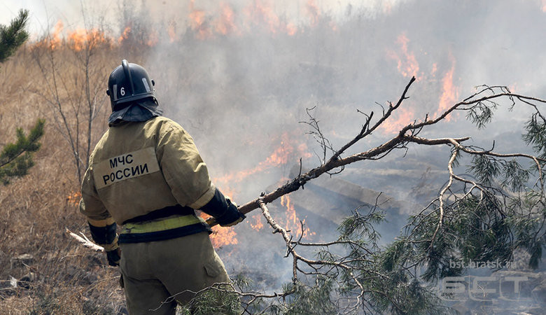 Правительство выделит 10 млрд рублей на оснащение лесных пожарных