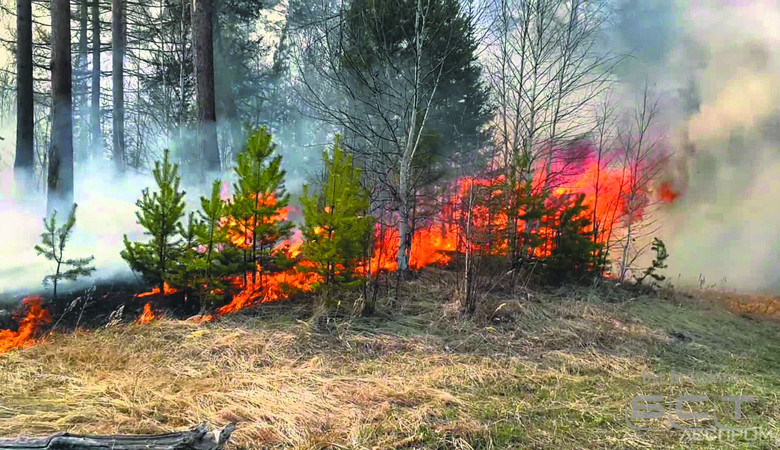 Пожароопасный сезон-2021 в Иркутской области откроют к середине марта: есть нововведения по профилактике