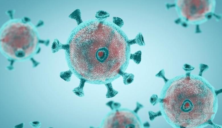 В Иркутской области число выздоровевших от коронавируса в два раза превысило число заболевших