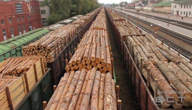 В Иркутской области выявили контрабанду леса на сумму более 1 млрд рублей
