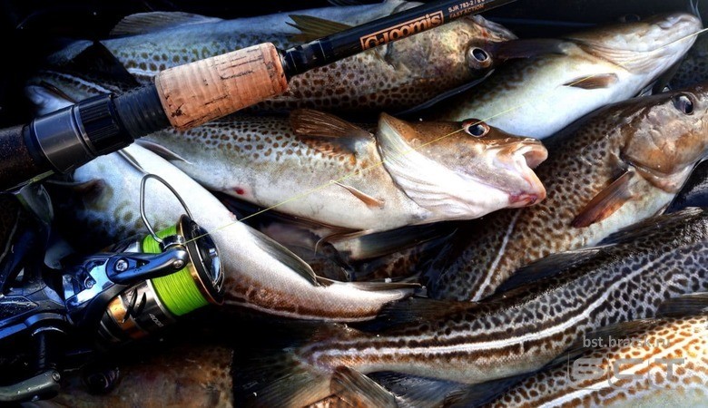 В Иркутской области с 20 апреля на время нереста запретят рыбалку